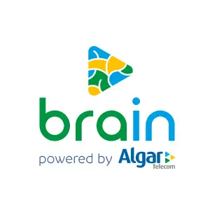 brain